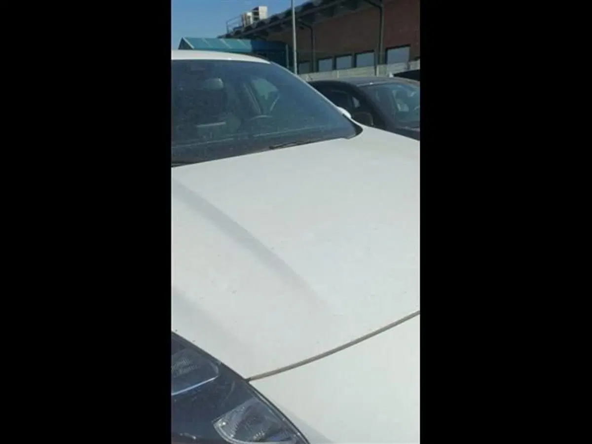 Ford Kuga usata a Modena
