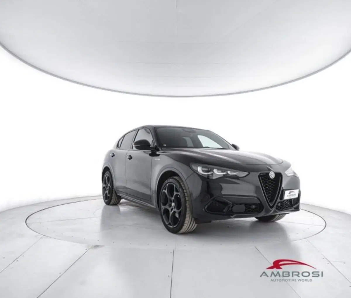 Alfa Romeo Stelvio usata a Perugia (2)