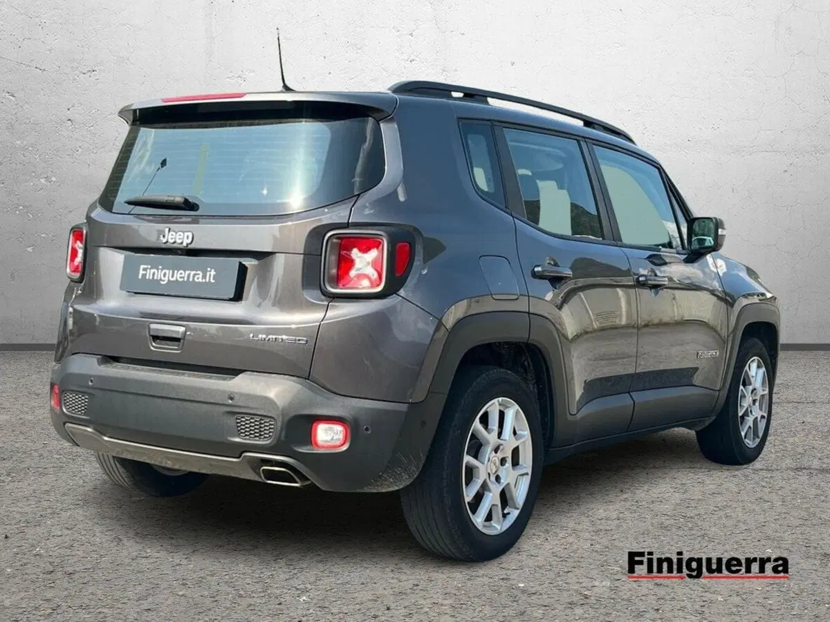 Jeep Renegade usata a Sondrio (4)