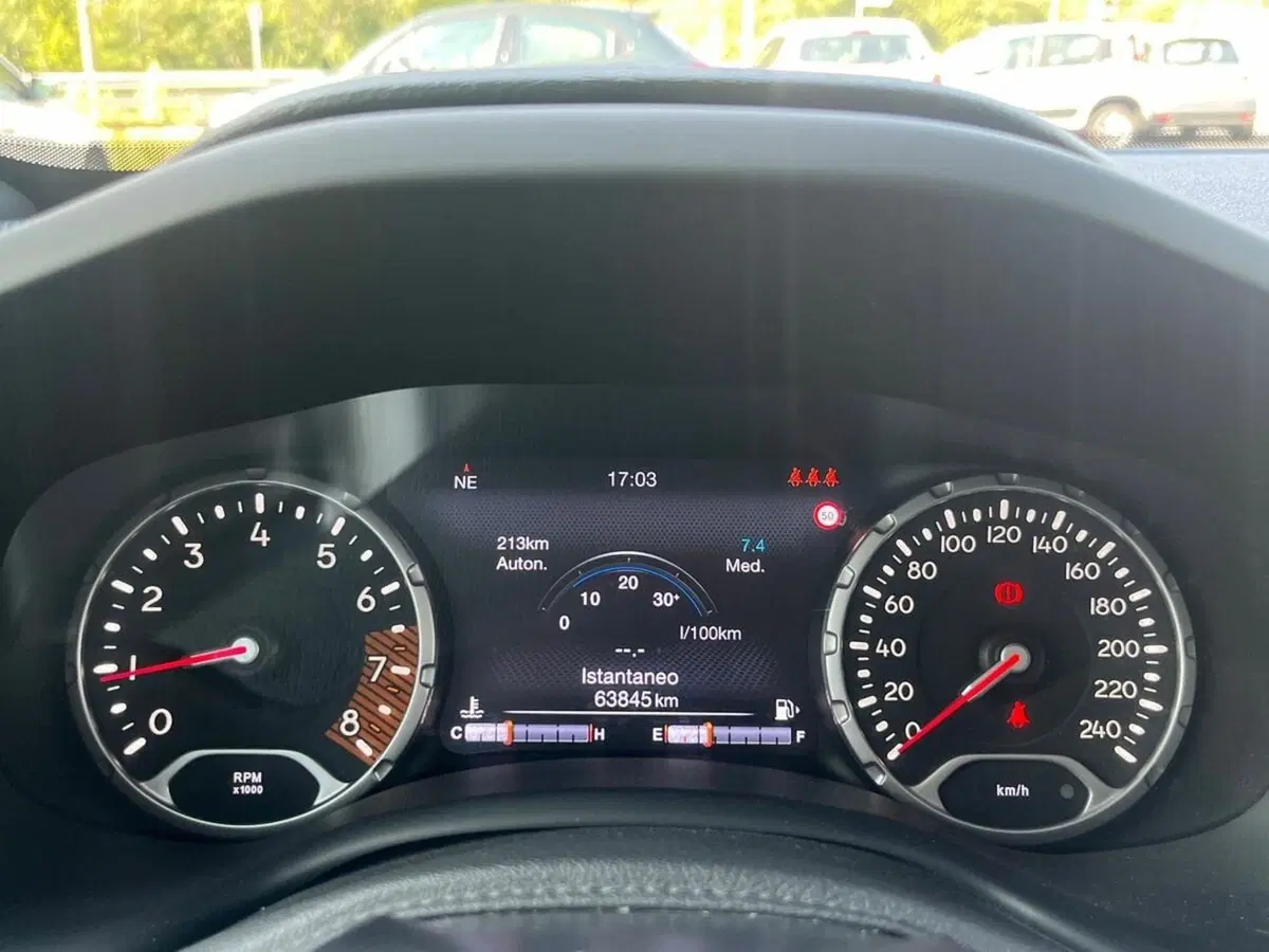 Jeep Renegade usata a Sondrio (9)