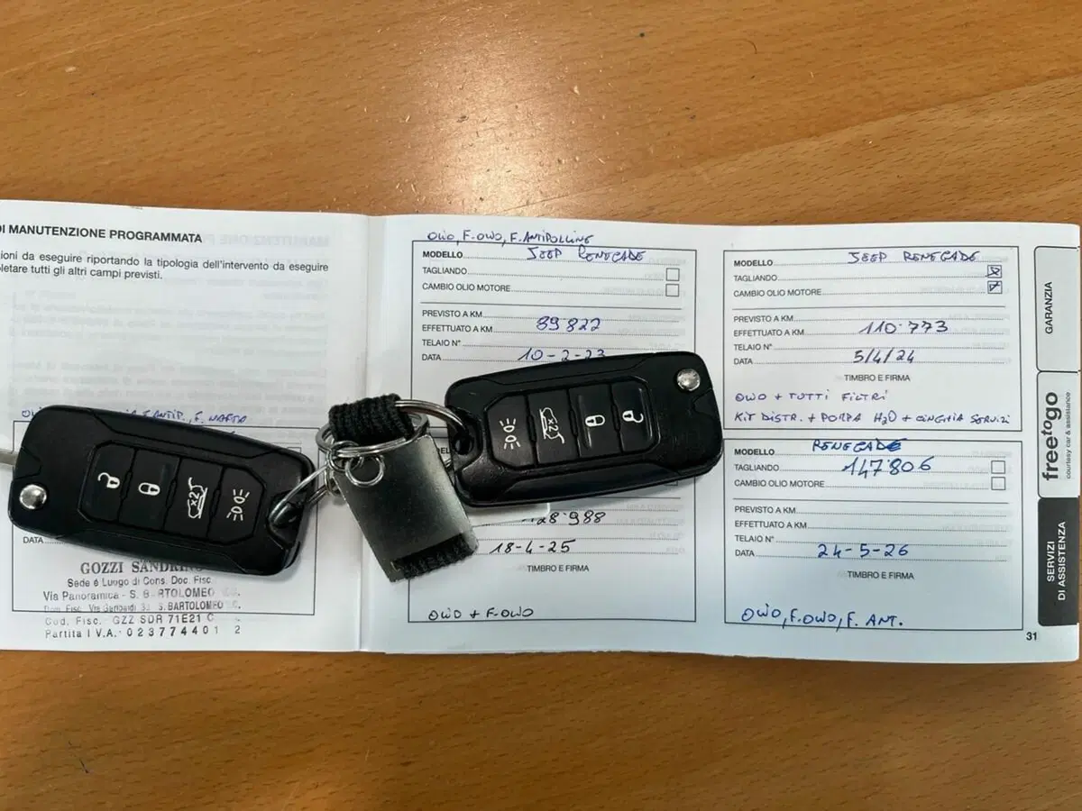 Jeep Renegade usata a Sondrio (16)
