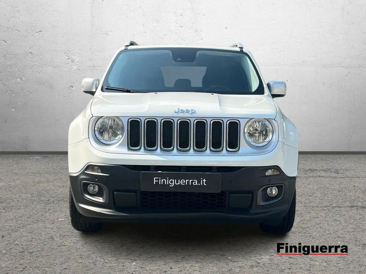 Jeep Renegade usata a Sondrio (2)