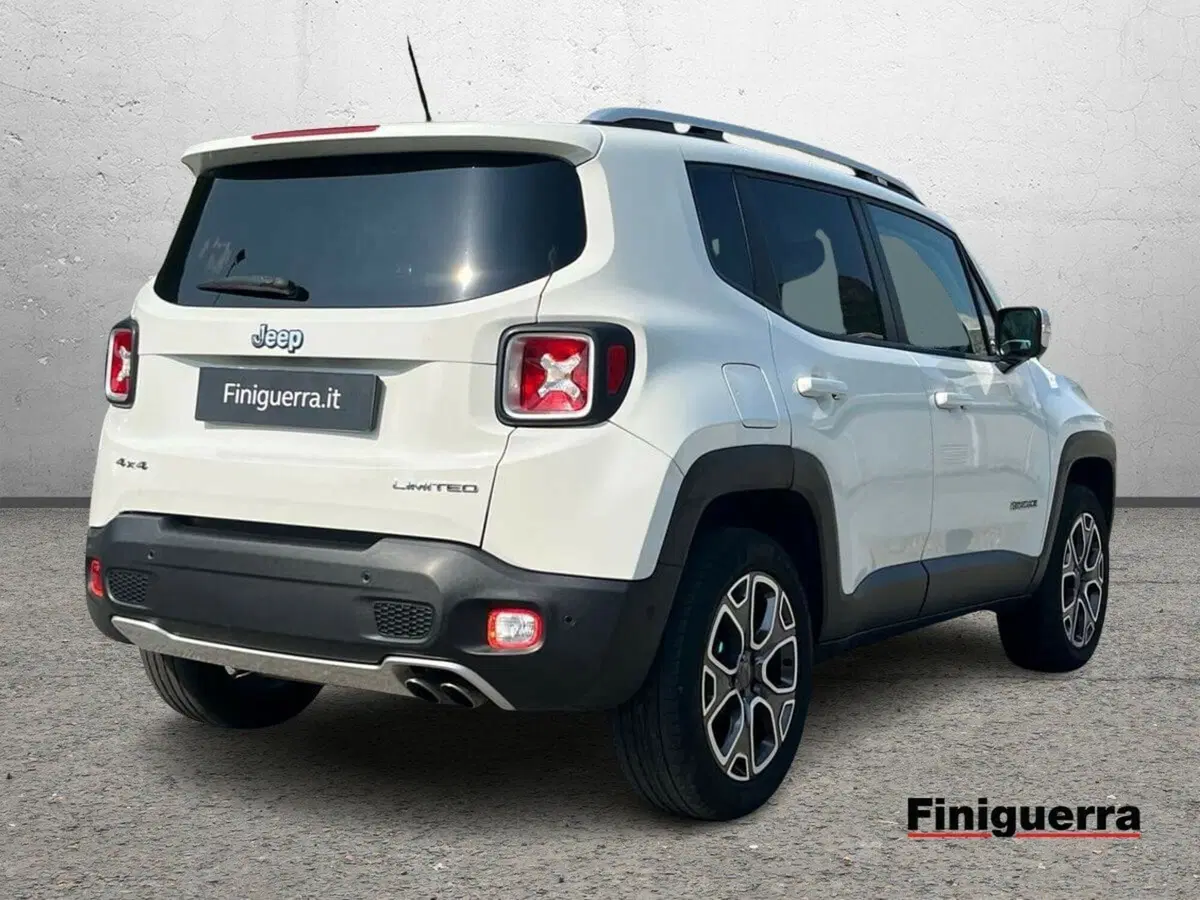 Jeep Renegade usata a Sondrio (4)