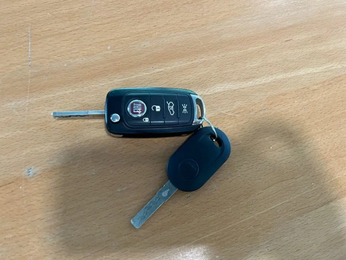 Fiat 500X usata a Sondrio (16)