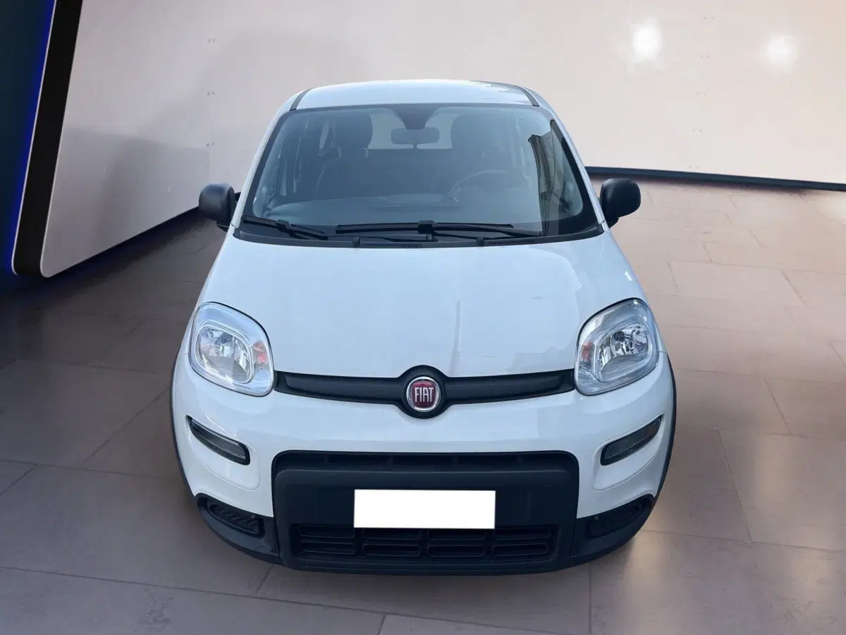 Fiat Panda usata a Torino