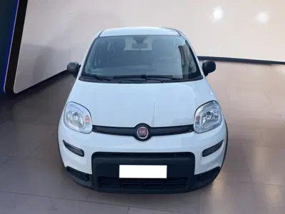 Fiat Panda 1.2 EasyPower Sport del 2024 usata a Torino