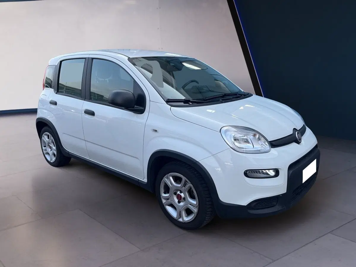 Fiat Panda usata a Torino (2)
