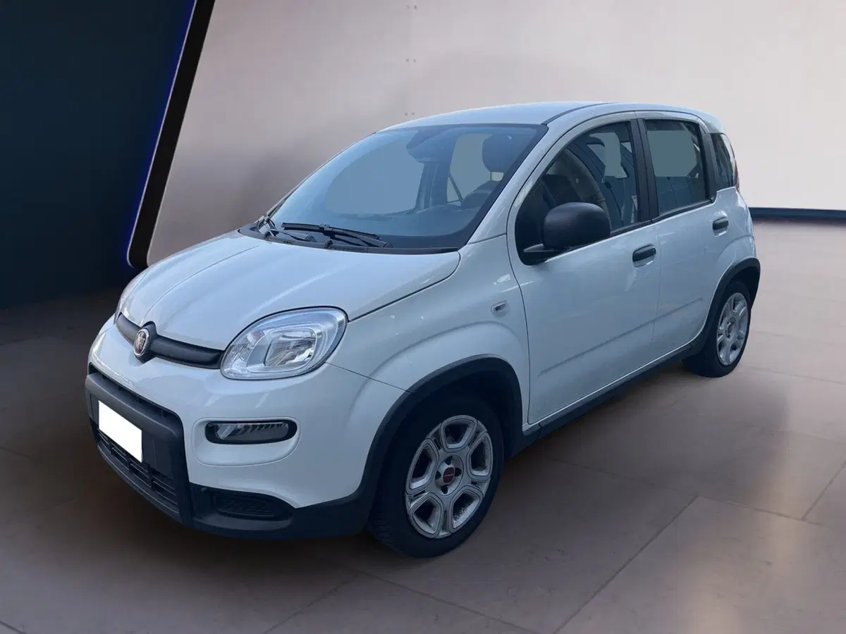 Fiat Panda usata a Torino (3)