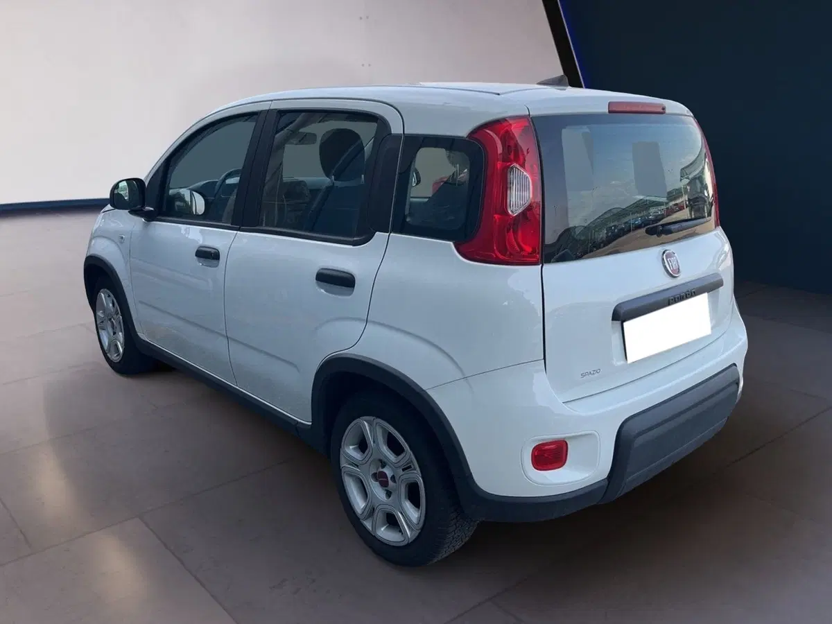 Fiat Panda usata a Torino (4)