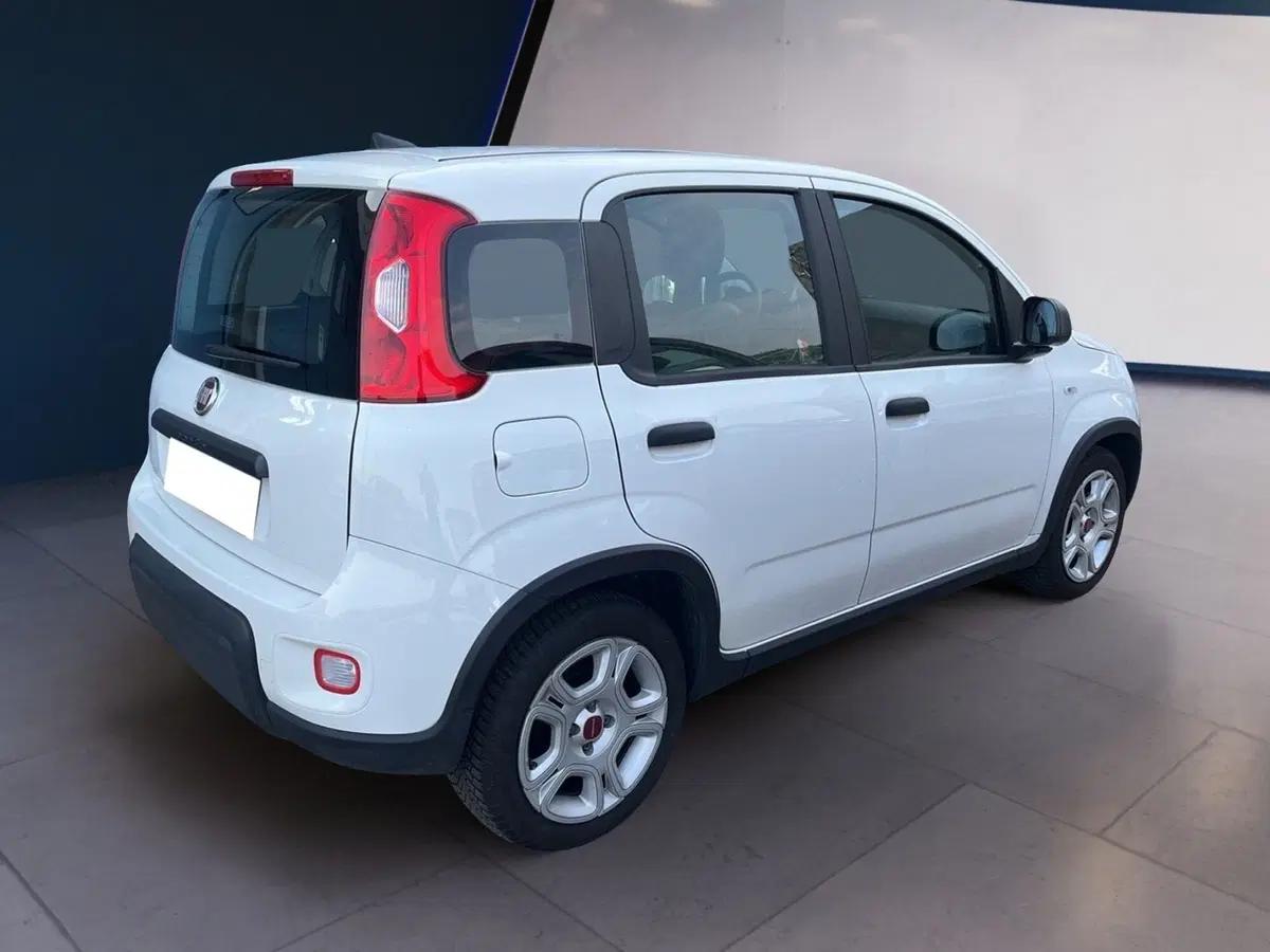 Fiat Panda usata a Torino (6)