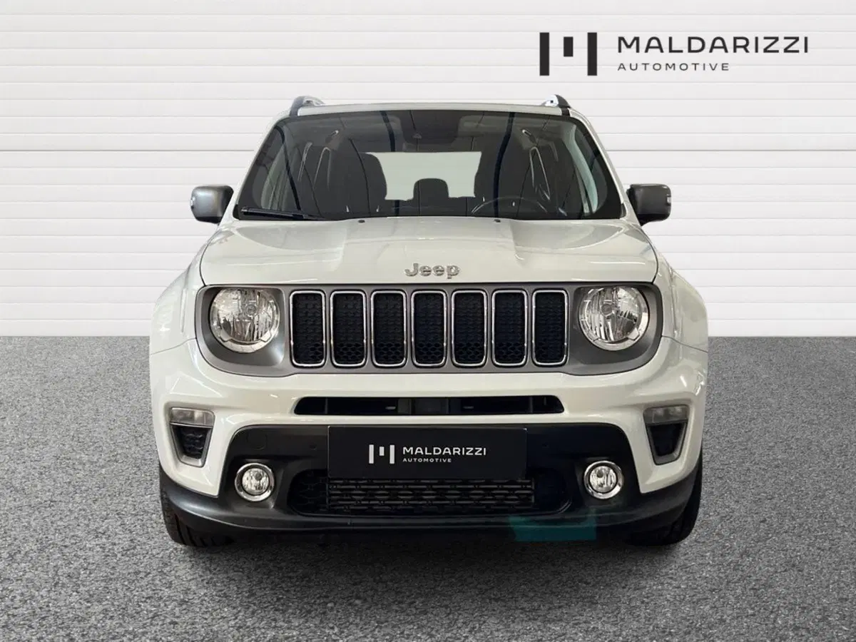 Jeep Renegade usata a Bari (2)