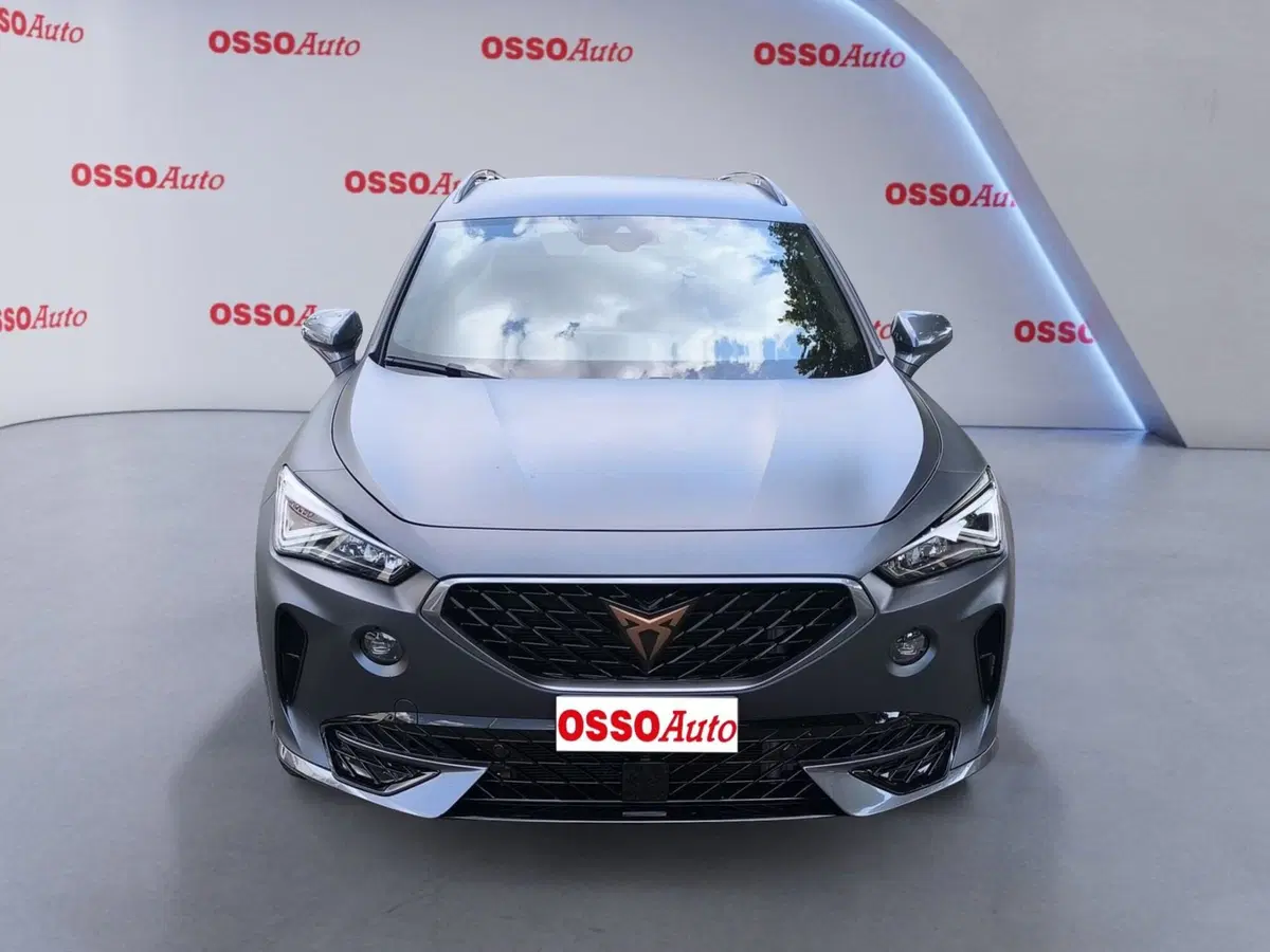 Cupra Formentor usata a Udine (5)
