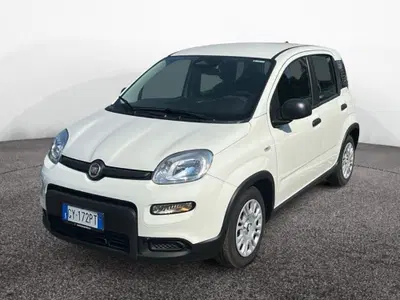 Fiat Pandina 1.0 firefly hybrid s&amp;s 70cv del 2025 usata a Roma