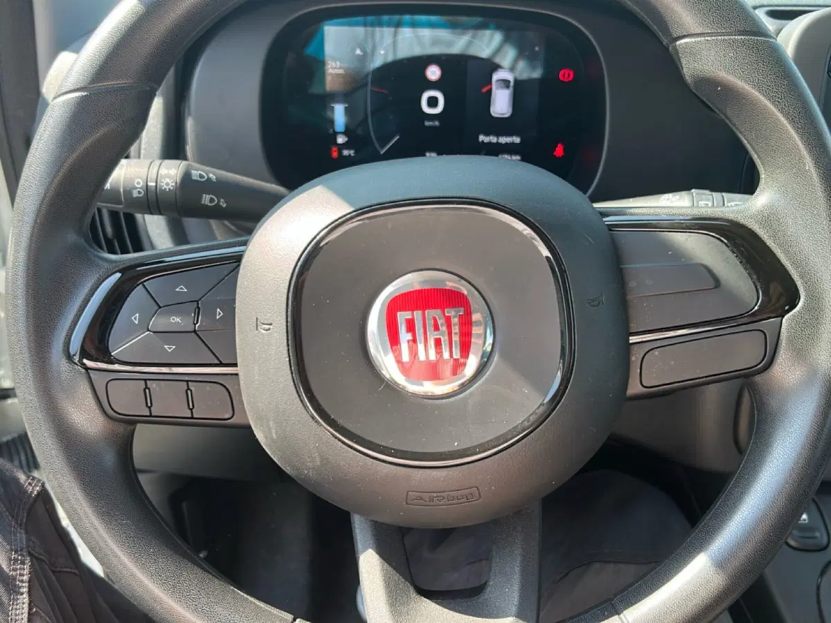 Fiat Pandina usata a Roma (15)