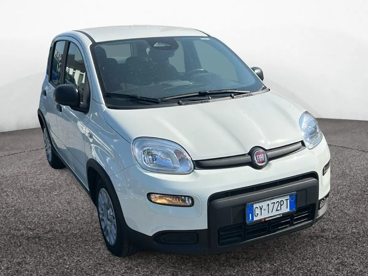 Fiat Pandina usata a Roma (2)