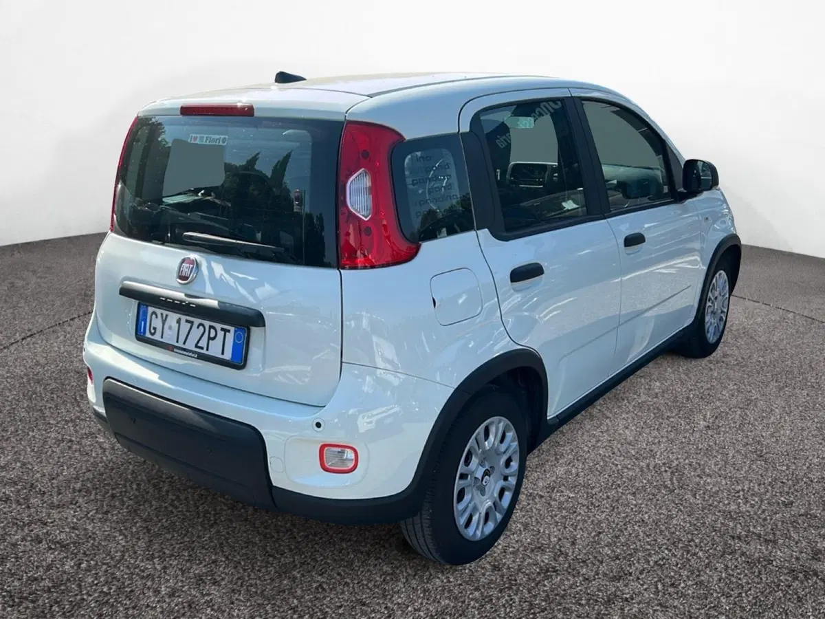 Fiat Pandina usata a Roma (3)