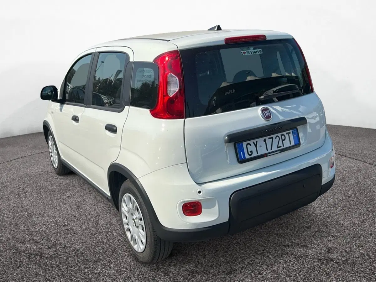 Fiat Pandina usata a Roma (4)