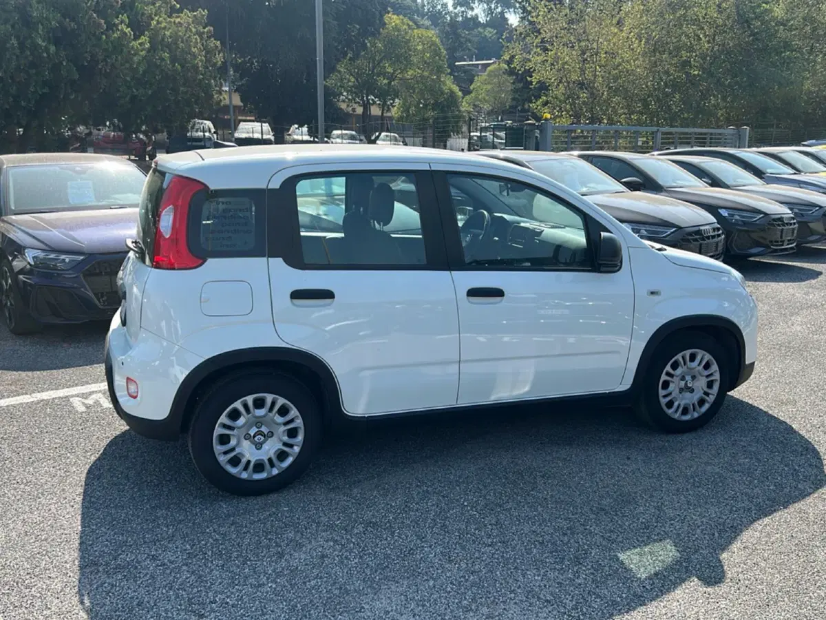 Fiat Pandina usata a Roma (6)