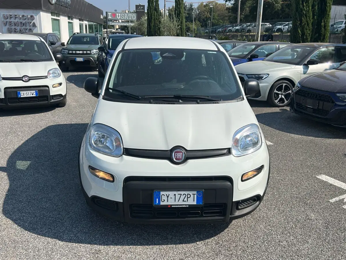 Fiat Pandina usata a Roma (7)