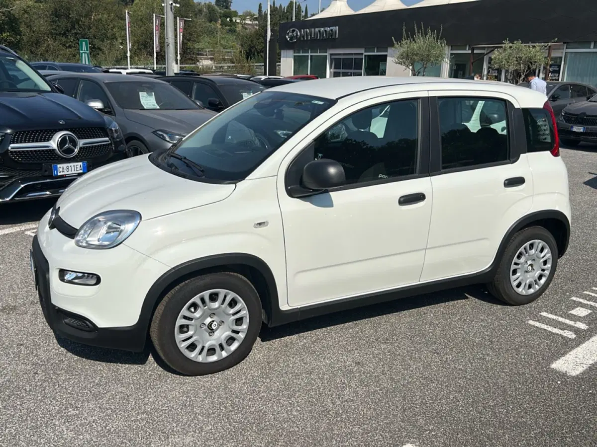 Fiat Pandina usata a Roma (8)