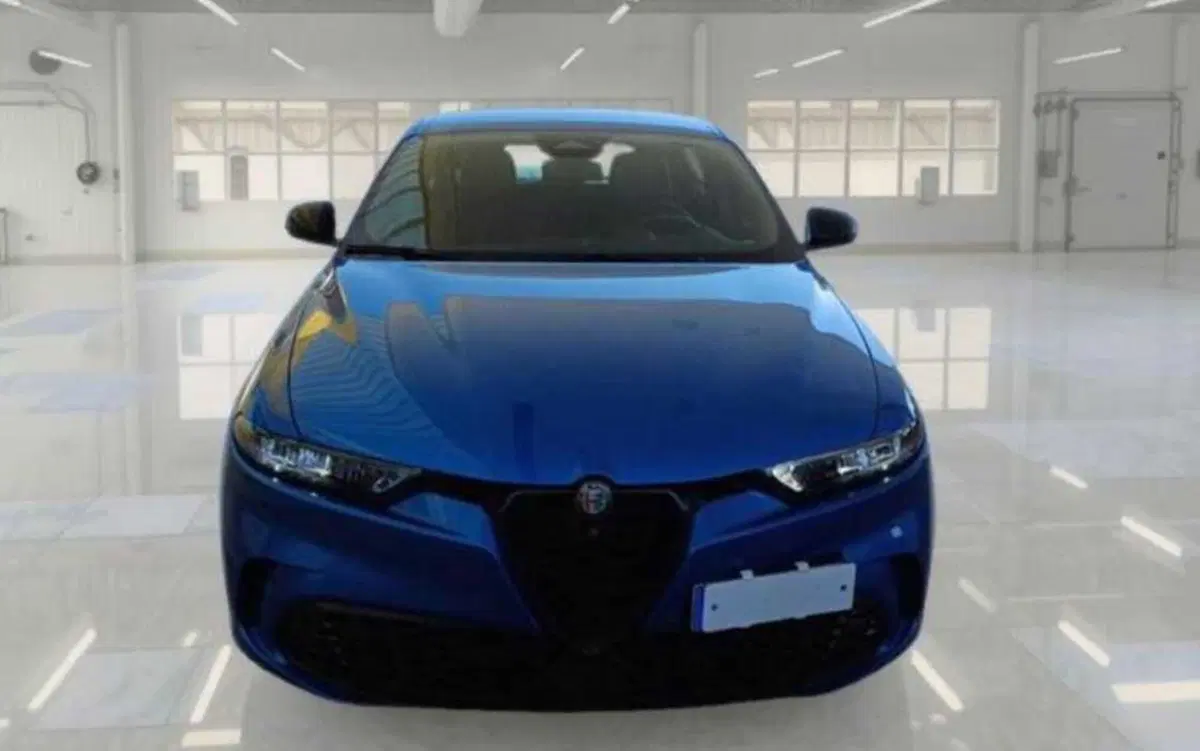 Alfa Romeo Tonale usata a Bologna (5)