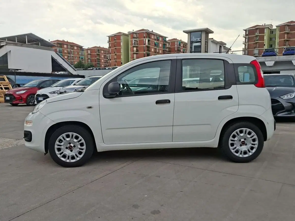 Fiat Panda usata a Torino (2)