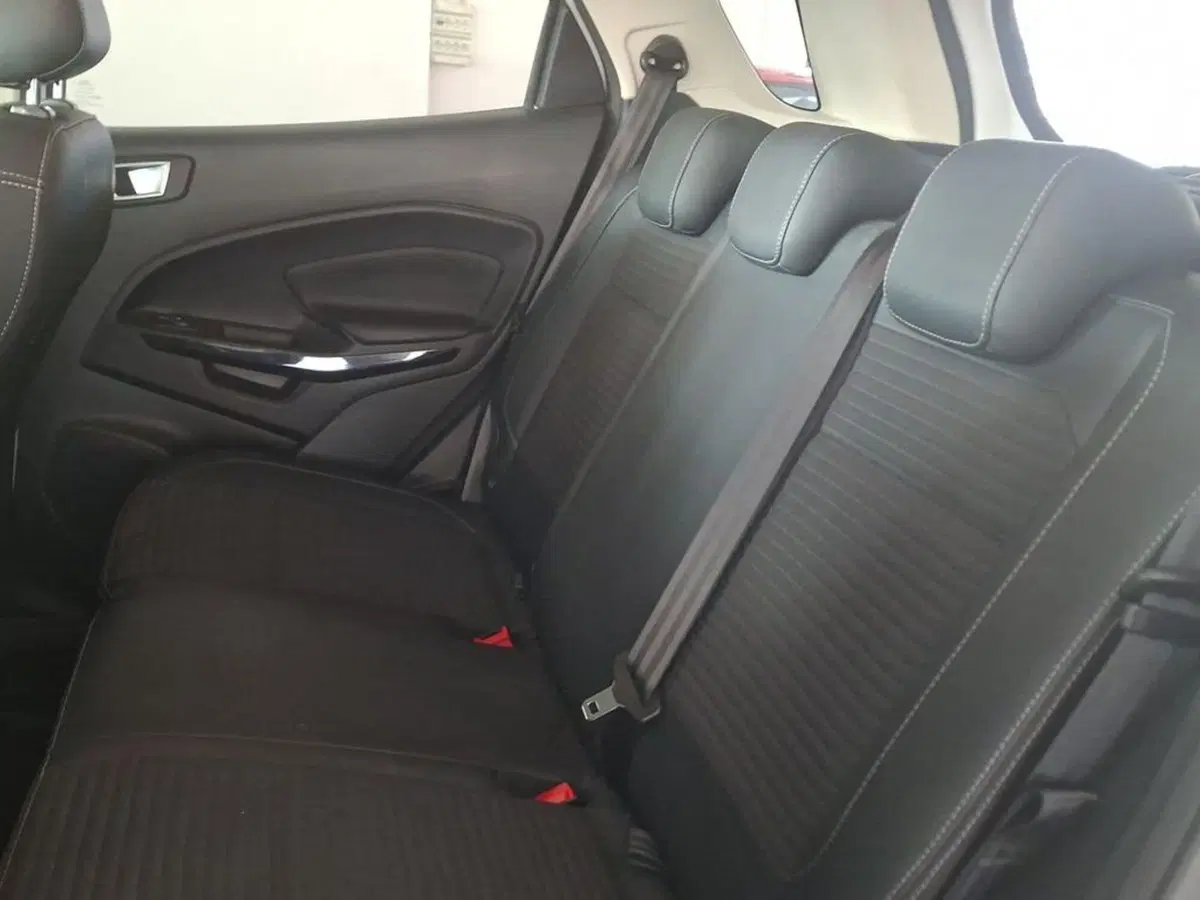 Ford EcoSport usata a Torino (10)