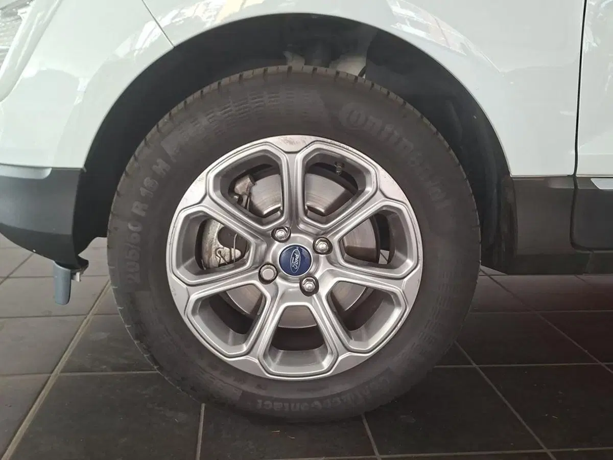 Ford EcoSport usata a Torino (11)