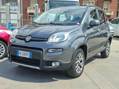 Fiat Panda 0.9 TwinAir Turbo S&amp;S 4x4 Wild del 2017 usata a Torino