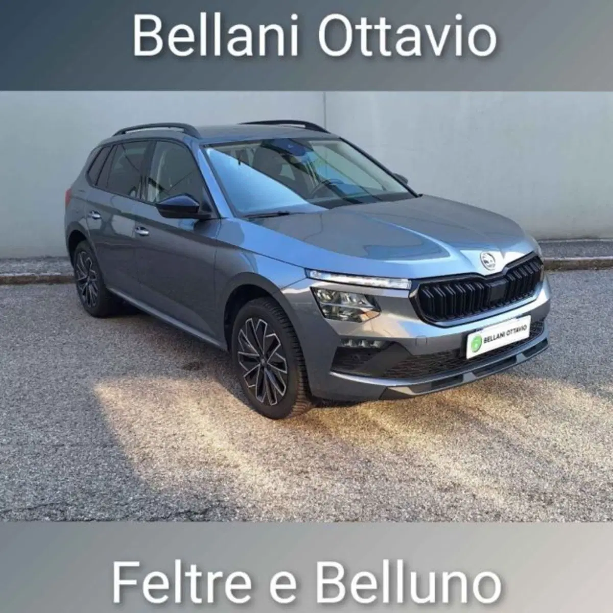 Skoda Kamiq usata a Belluno