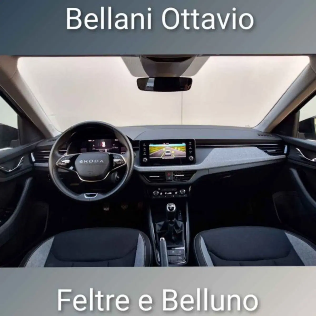 Skoda Kamiq usata a Belluno (10)