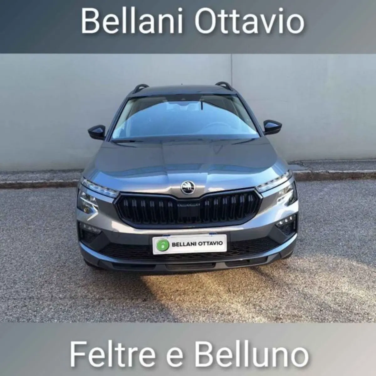 Skoda Kamiq usata a Belluno (2)