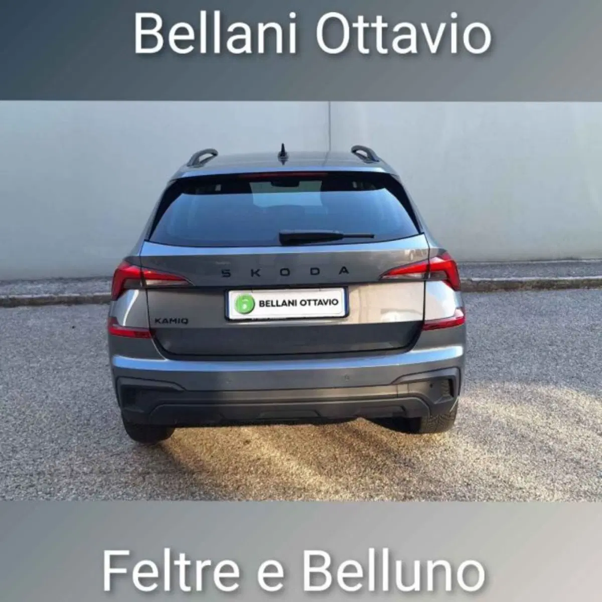 Skoda Kamiq usata a Belluno (5)