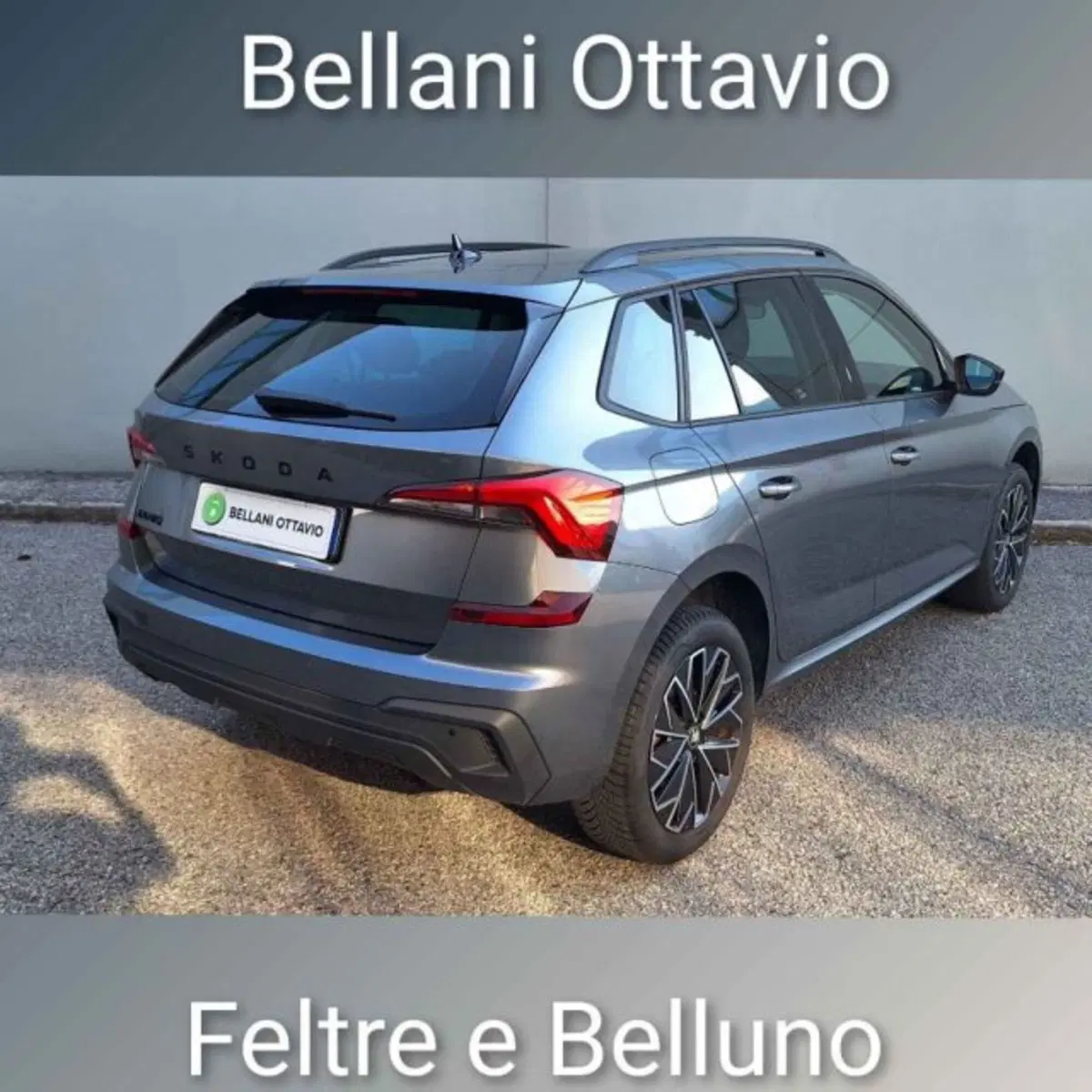 Skoda Kamiq usata a Belluno (6)
