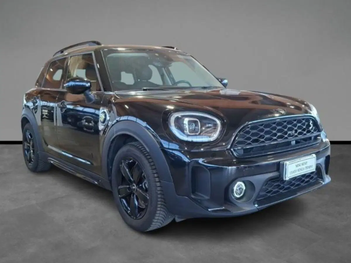 MINI Mini Countryman usata a Verona (16)
