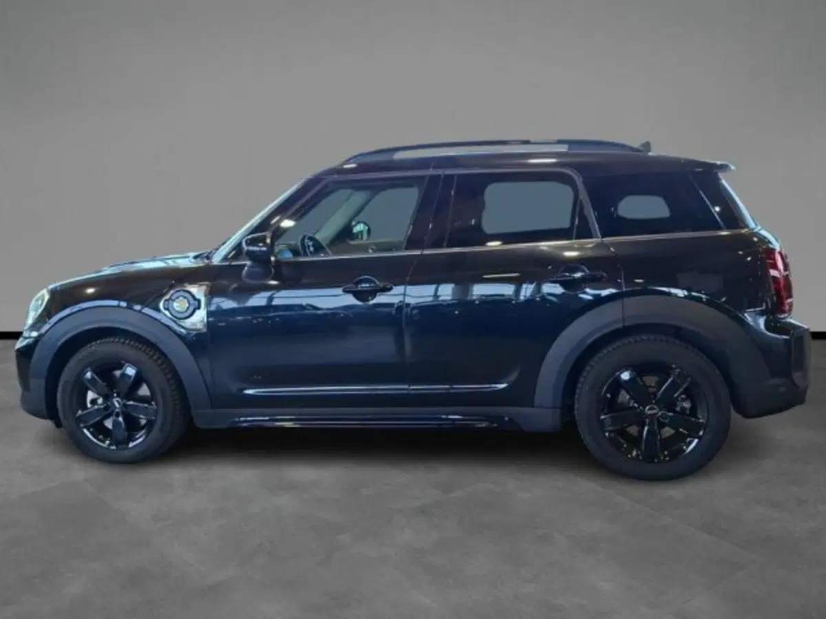 MINI Mini Countryman usata a Verona (3)