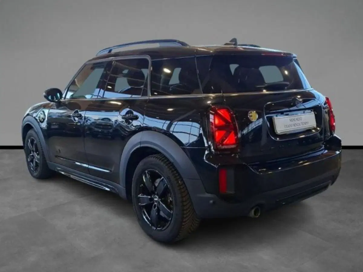MINI Mini Countryman usata a Verona (4)