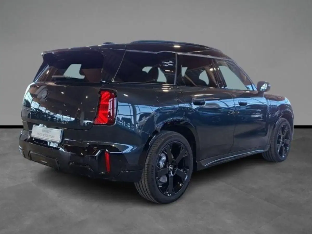 MINI Mini Countryman usata a Verona (14)