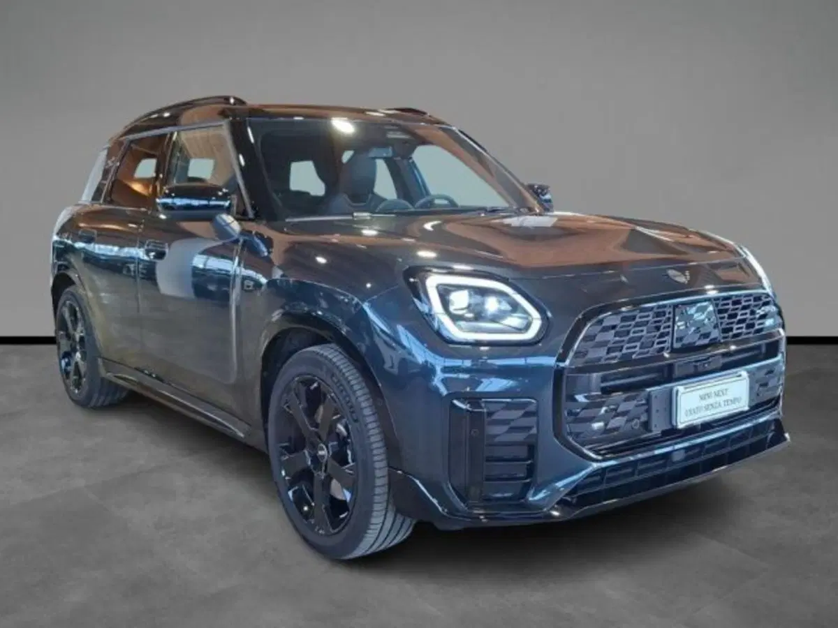 MINI Mini Countryman usata a Verona (15)