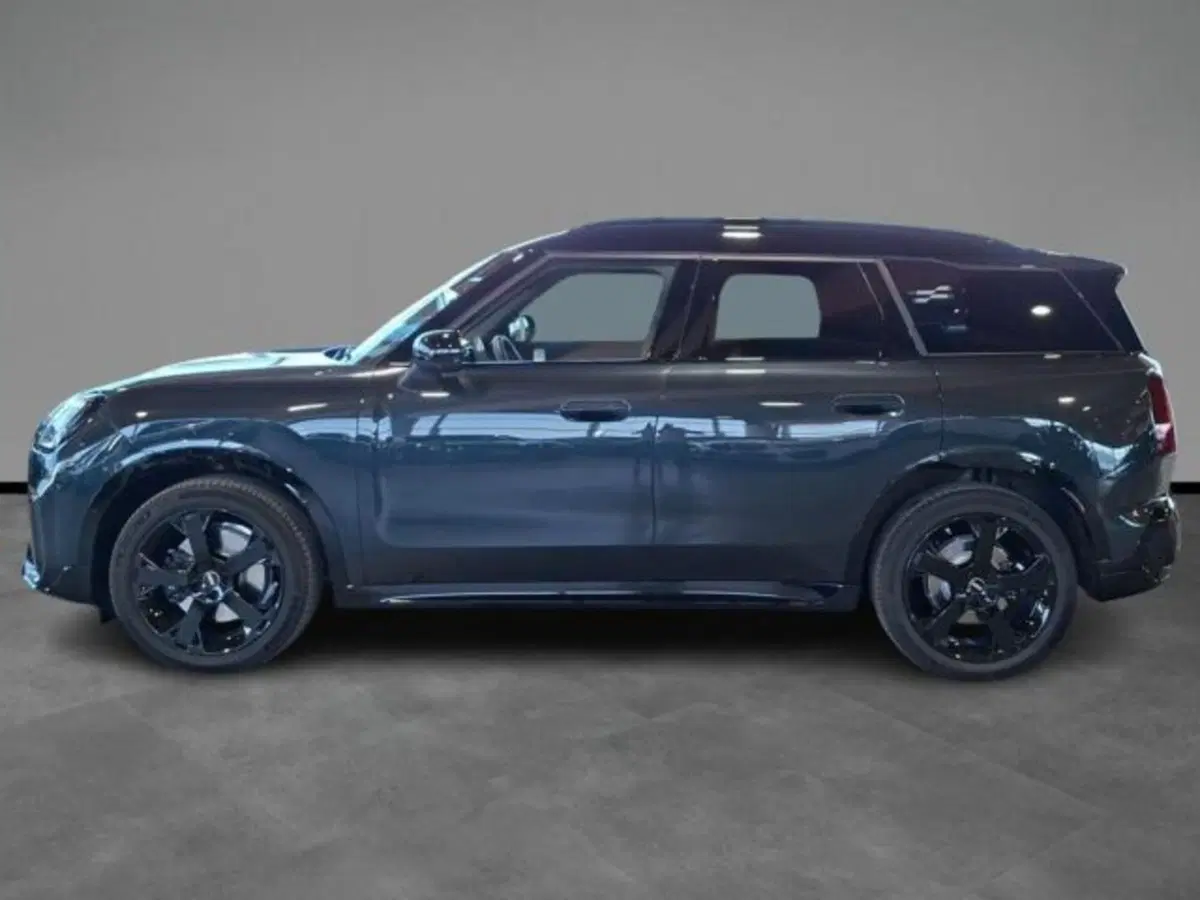MINI Mini Countryman usata a Verona (2)