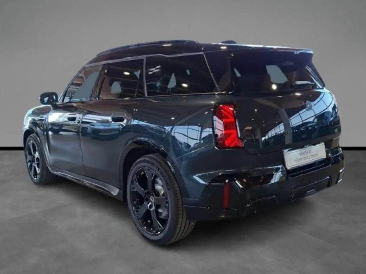 MINI Mini Countryman usata a Verona (3)