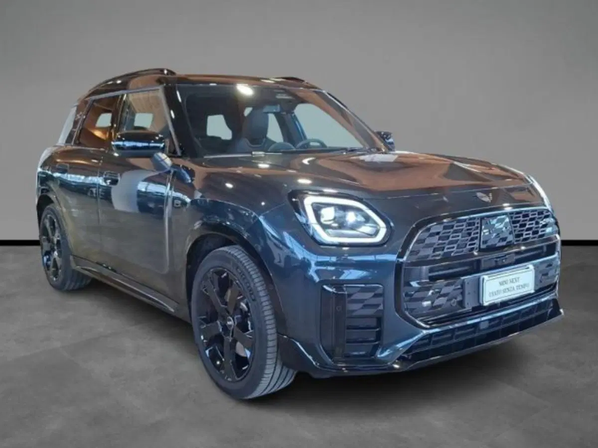 MINI Mini Countryman usata a Verona (15)