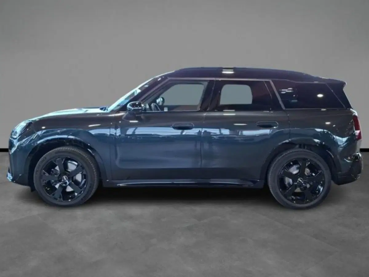 MINI Mini Countryman usata a Verona (2)