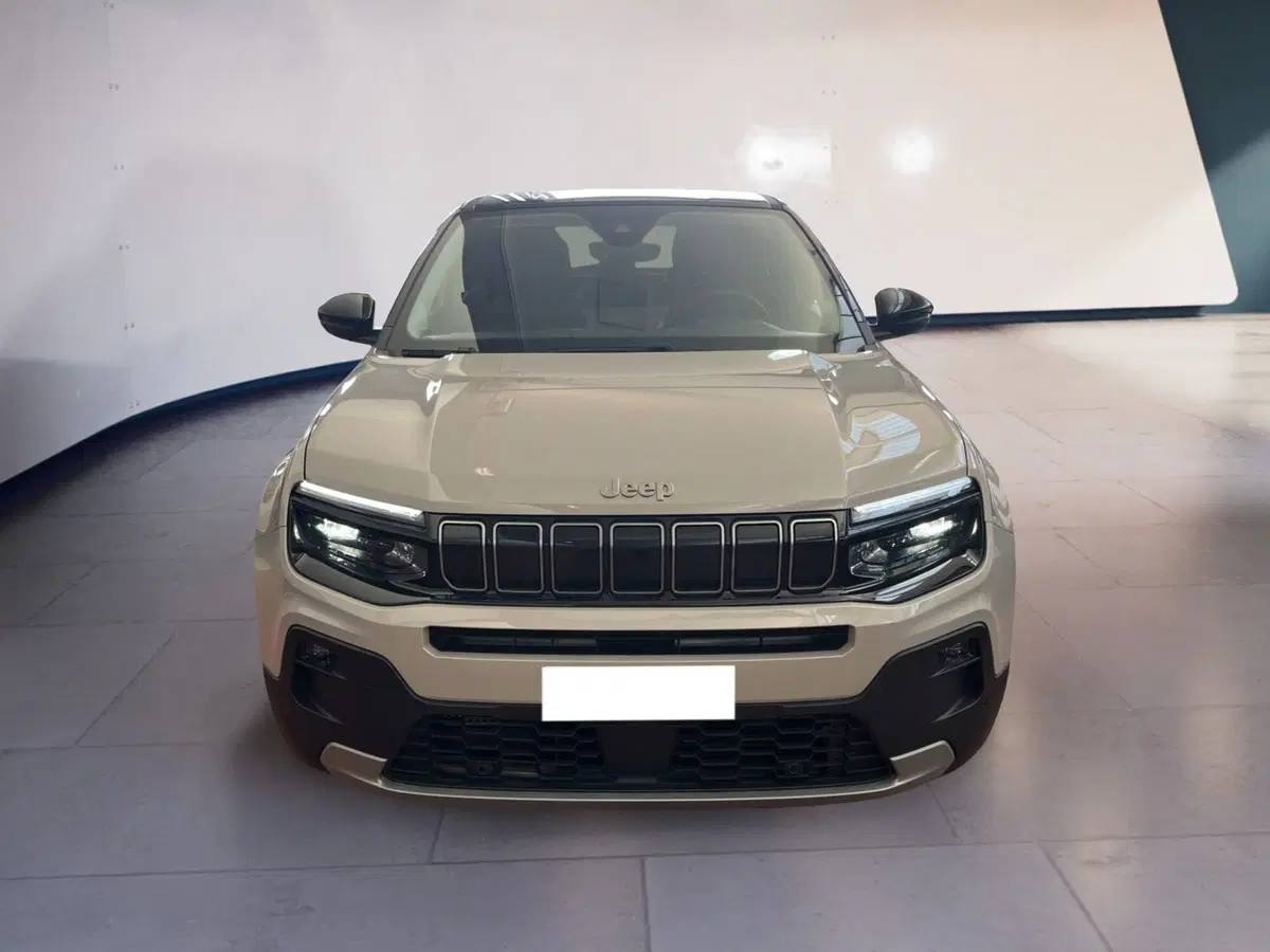 Jeep Avenger usata a Torino