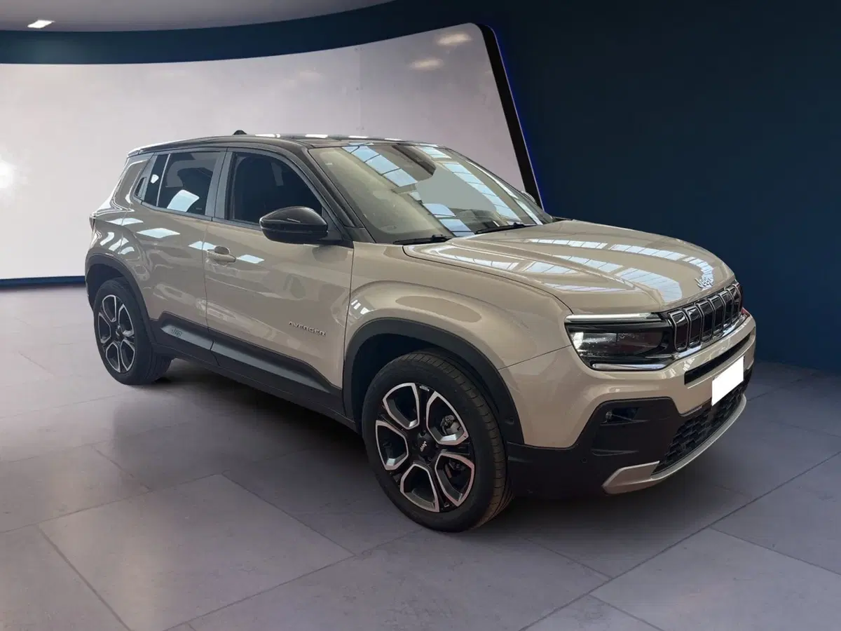 Jeep Avenger usata a Torino (2)