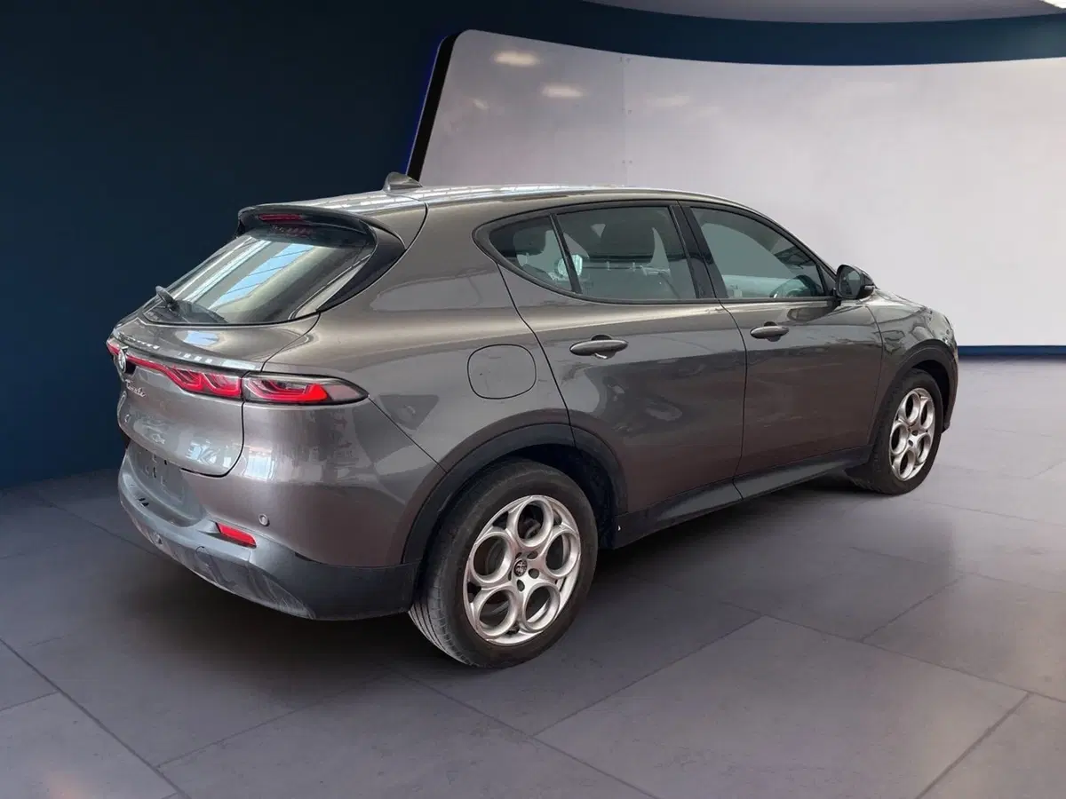 Alfa Romeo Tonale usata a Torino (4)