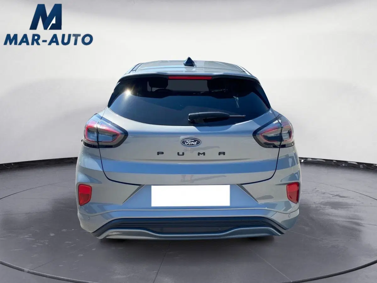 Ford Puma usata a Treviso (19)
