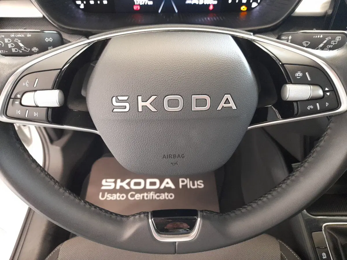 Skoda Fabia usata a Bologna (11)