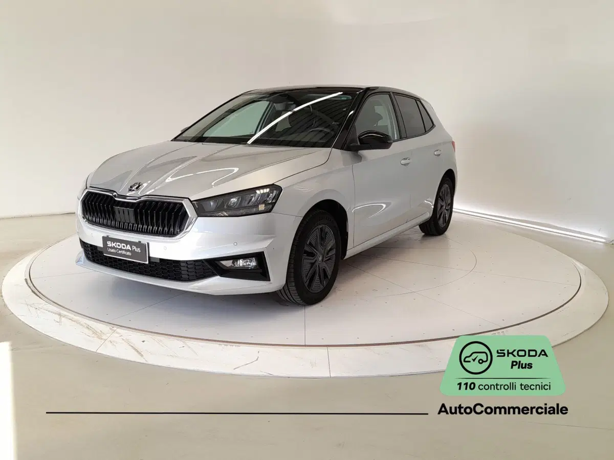 Skoda Fabia usata a Bologna (3)