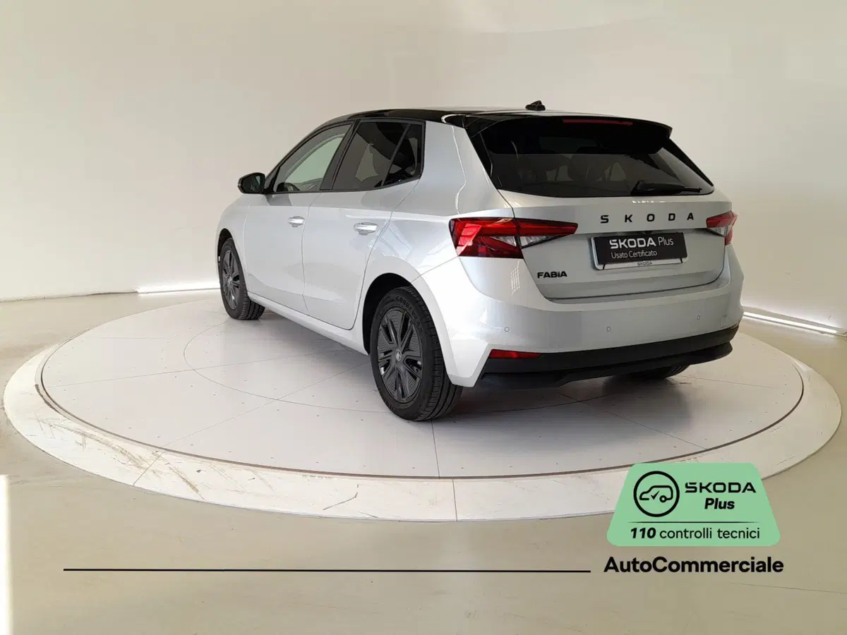 Skoda Fabia usata a Bologna (4)
